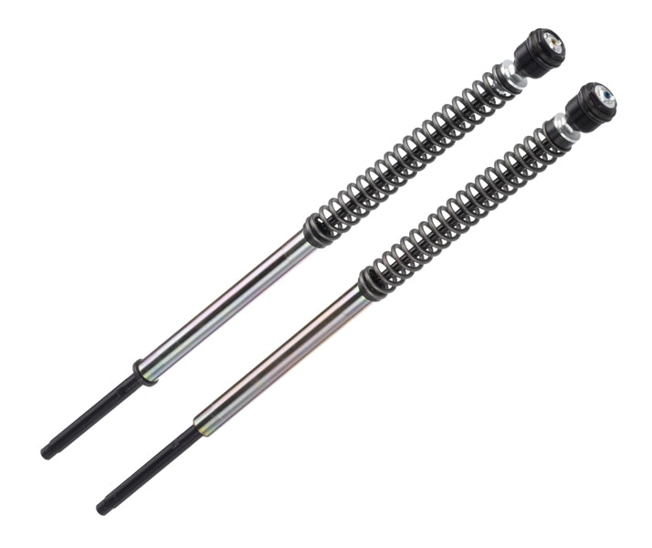 HD011JBH12WO | Bitubo Suspensions | HARLEY DAVIDSON FLTRXS ROAD GLIDE SPECIAL / FLHXS STREET GLIDE SPECIAL| Pressurized cartdrige - ADJ: spring preload; Rebound, Compression; WITHOUT Oil; BLACK ring. Lowering to -10mm